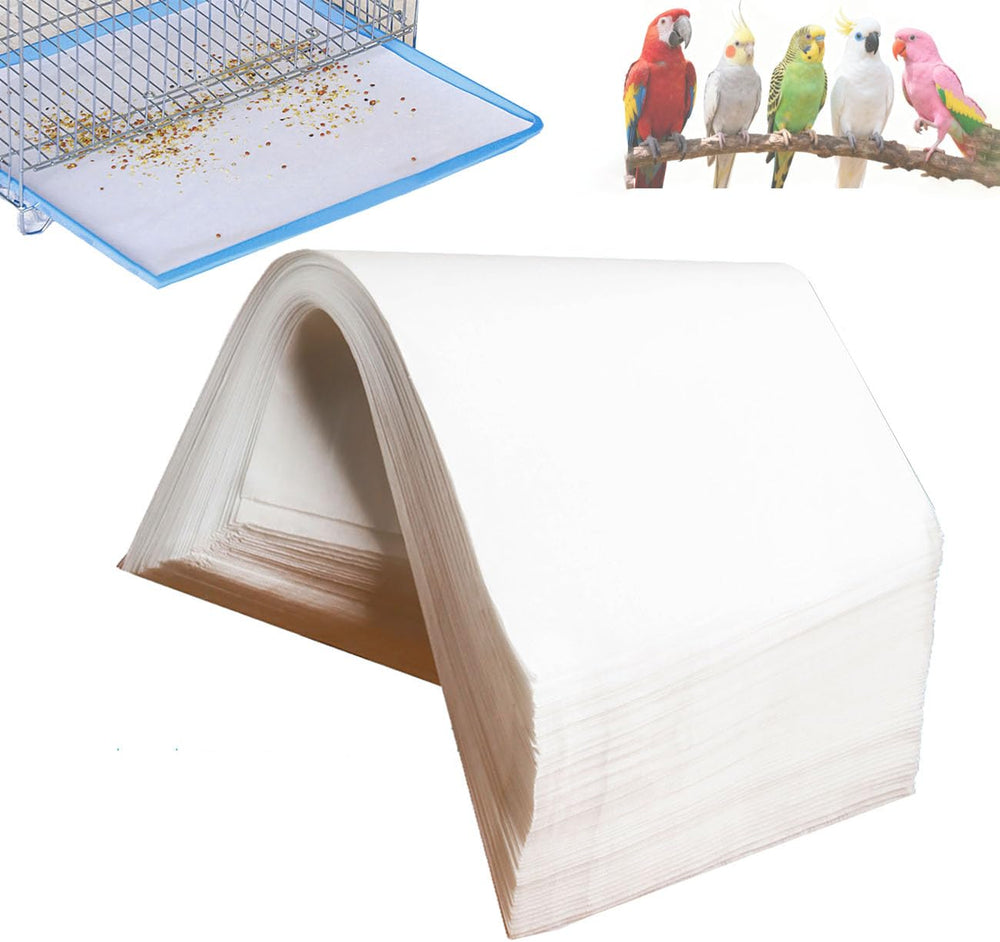 CuaxTume emballage frontal montrant 100 feuilles pour gain de temps