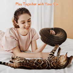 CusieryMax tunnel modulable utilisé par plusieurs chats encourageant jeu social