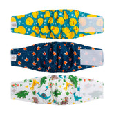 CuteBone vue avant du lot de trois ceintures, protection pratique