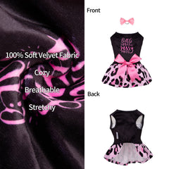 CuteBone porté par petit chien montrant aisance et look festif