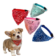 CWYZA bandana-collier face avant montrant style et confort