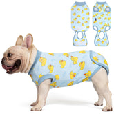 cyeollo onesie jaune montrant la face avant et la coupe protectrice