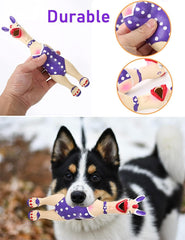DAJOOEE comparaison taille à main indique dimension adaptée petits chiens