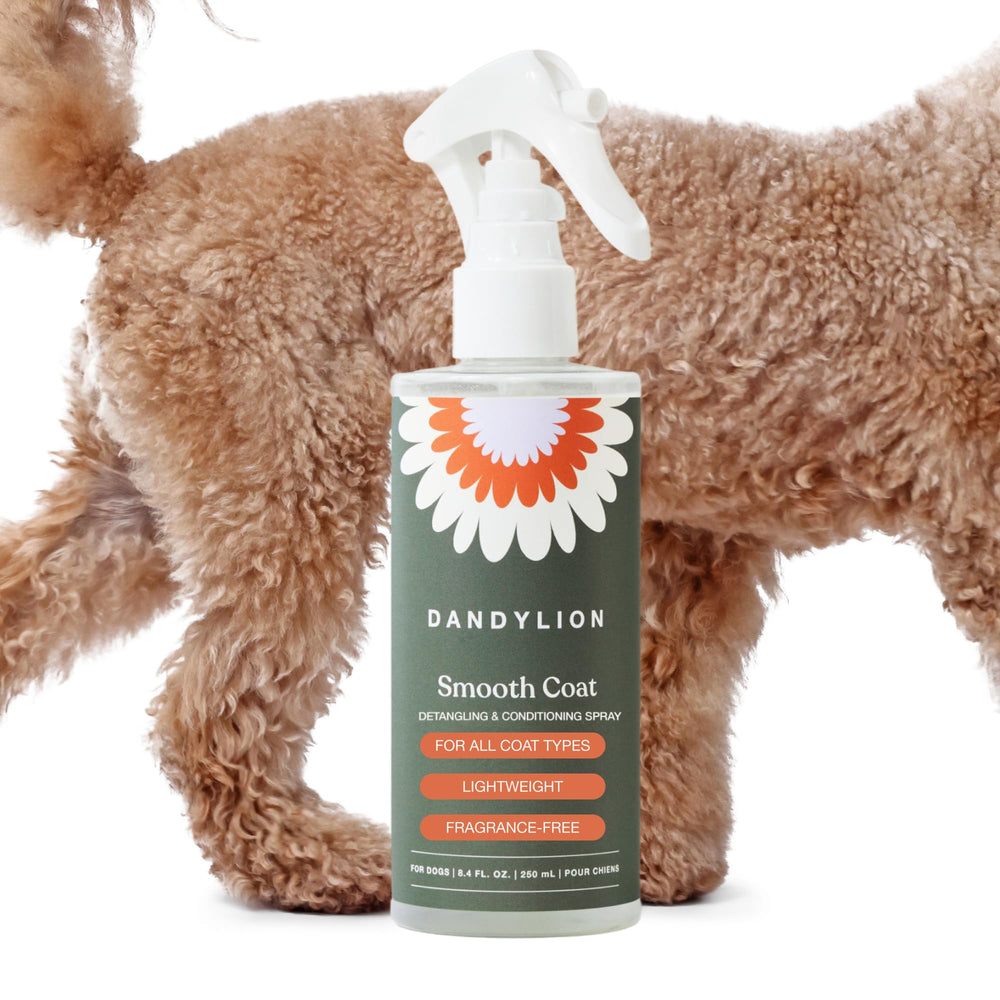 Dandylion flacon Smooth Coat face visible, présentation claire et pratique