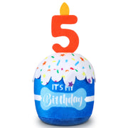 Dansydaisy gâteau d'anniversaire face avant montrant design festif et attractif