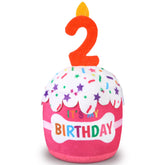 Dansydaisy gâteau d'anniversaire face montrant design festif et jouabilité