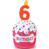 Dansydaisy gâteau d'anniversaire face montrant la bougie et l'aspect festif