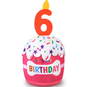 Dansydaisy gâteau d'anniversaire face montrant la bougie et l'aspect festif