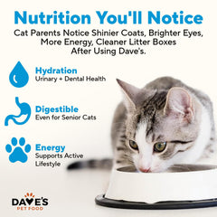 Dave's Pet Food boîte ouverte révélant la pâtée prête à servir