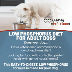 Dave's Pet Food ingrédients vrais poulet et carottes favorisant digestibilité