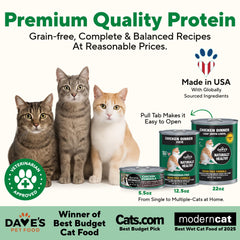 Dave's Pet Food gros plan de la texture pâté pour meilleure appétence