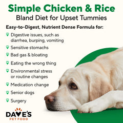 Dave's Pet Food gros plan sur la texture pâté facile à mâcher et digérer