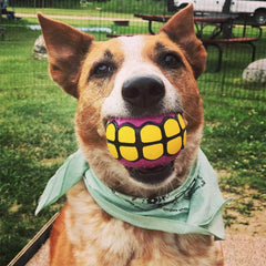 Dawg Grillz balle flottant sécurise jeux aquatiques