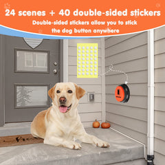 DCIAER chien appuie sur bouton illustrant communication et récompense