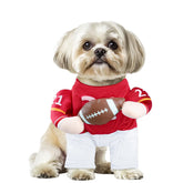 DELIFUR costume devant sur chien montrant style football et confort