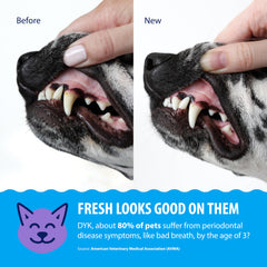 Dental Fresh bouteille à l'échelle, grande capacité pour plusieurs animaux