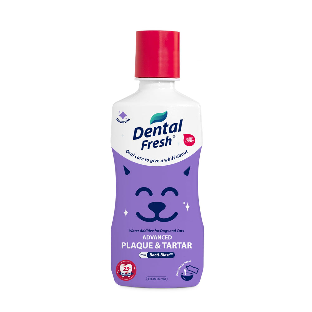 Dental Fresh flacon avant emballage, praticité pour routine quotidienne