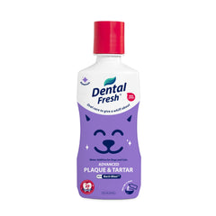 Dental Fresh flacon avant emballage, praticité pour routine quotidienne