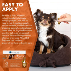 Dermoscent application sur dos du chien pour soulager démangeaisons