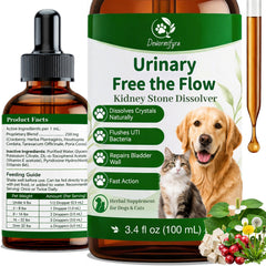 Dewormifyra flacon avant montrant format 100 ml et étiquette claire