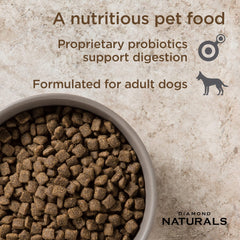 DIAMOND NATURALS croquettes dans une assiette montrant appétence et portionnage