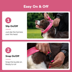 Didog boucle unique fermoir simple pour enfilage rapide