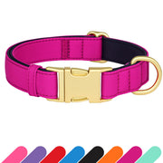 Didog collier face rose violet montrant style et ajustement confortable