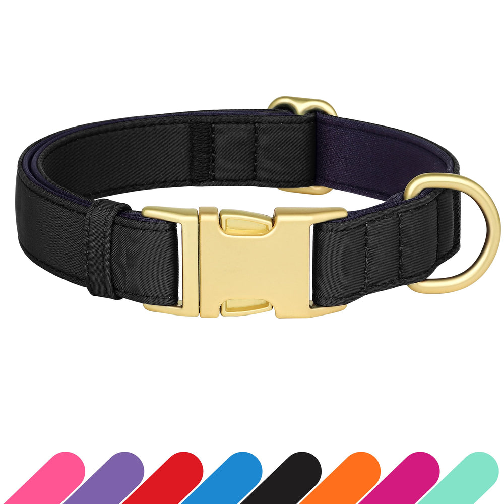 Didog collier noir face avant montrant design discret et robuste