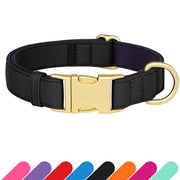 Didog collier noir face avant montrant design discret et robuste