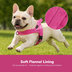 Didog gros plan flanelle rembourrage offrant douceur et protection