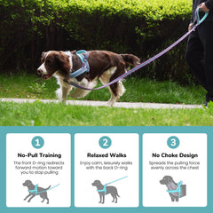 Didog harnais boucle rapide facilitant mise en place et retrait