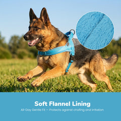 Didog boucle unique facilitant mise en place rapide et sécurité