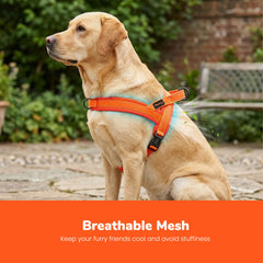 Didog gros plan mesh respirant pour ventilation et fraîcheur
