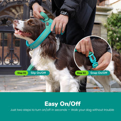 Didog fermeture à une boucle montrant la mise en place rapide