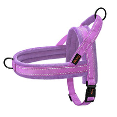 Didog harnais violet vue face montrant coupe et maintien confortable