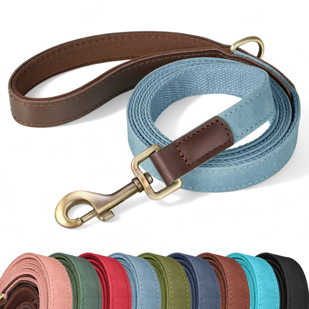 Didog laisse denim bleu vue avant pour promenade confortable