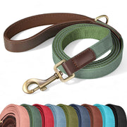 Didog laisse verte face avant montrant longueur et couleur, design pratique