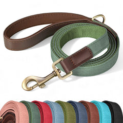 Didog laisse verte face avant montrant longueur et couleur, design pratique