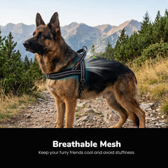 Didog maille respirante gros plan montrant confort et ventilation