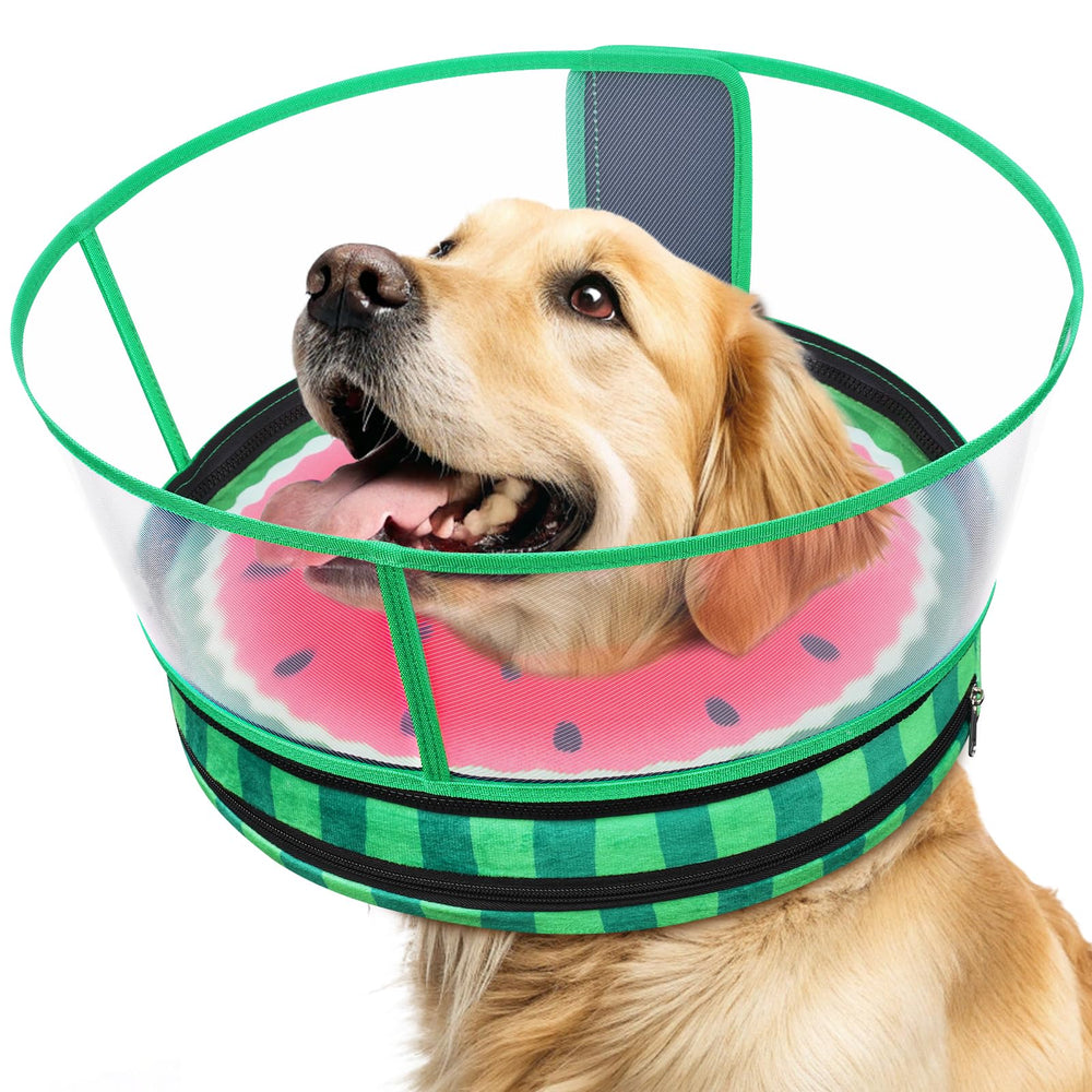 Didopet collier donut face avant montrant protection confortable