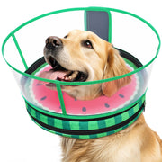 Didopet collier donut face avant montrant protection confortable