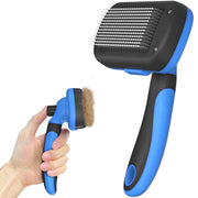 Dipoo brosse face avant montrant design et couleur bleue, facile à repérer