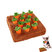 DIYGIFF tapis carotte face avant montrant 12 poches pour stimuler l'odorat