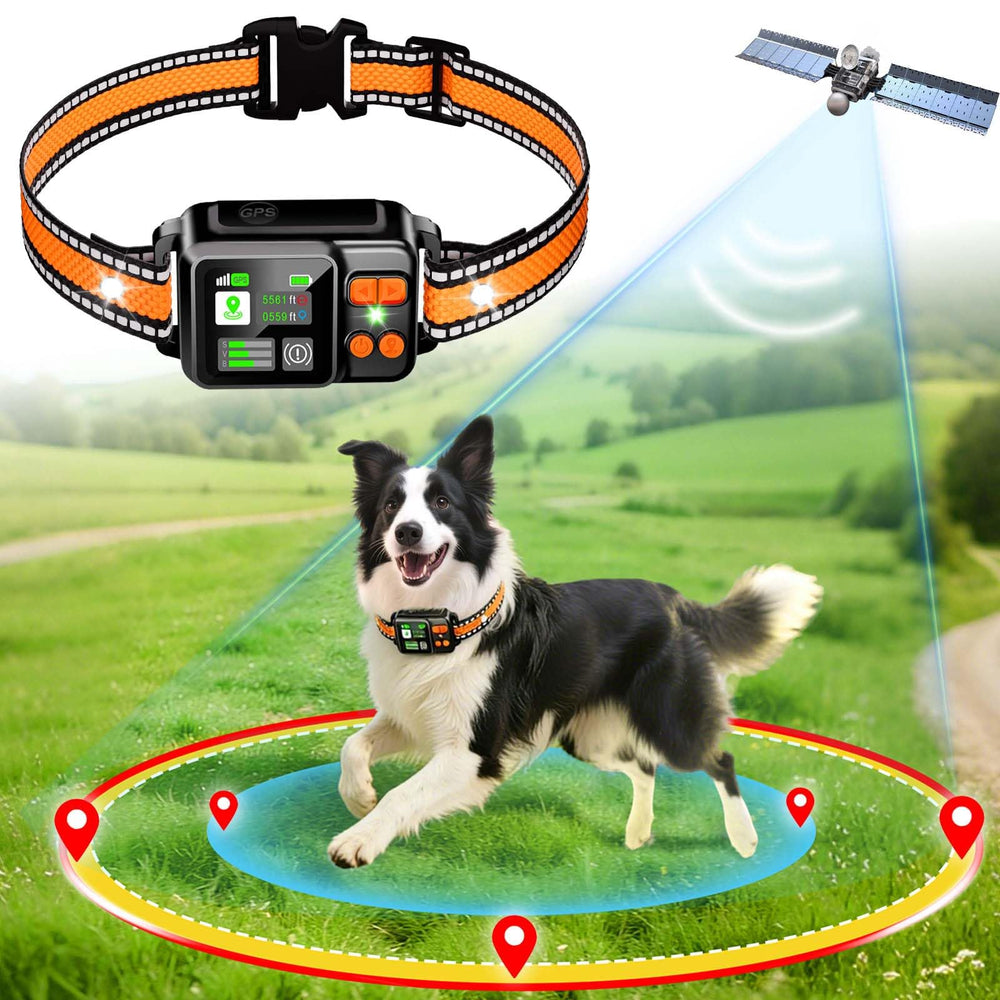 DJNFGQ collier GPS vue avant montrant le boîtier compact et usage facile