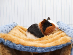 Dnoifne détail fixations avec écrous papillon pour installation facile
