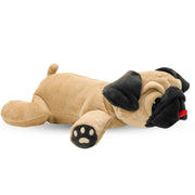 Dog Dog Pedro Pug vue face montrant le réalisme et l’attrait photogénique