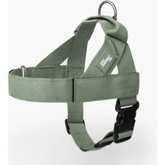 Dog Friendly Co harnais large face avant khaki montrant ajustement sûr