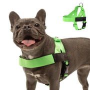 Dog Friendly Co harnais face avant, visibilité améliorée pour sorties sécurisées
