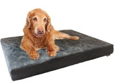 Dogbed4less vue de face montrant support uniforme et design pratique