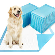 Dogcator emballage avant montrant le lot de 30 alèses et gain de temps